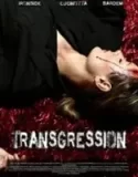 Dehşet Gecesi (2011)