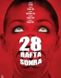 28 Hafta Sonra