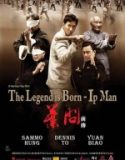 Ip Man Efsane Doğuyor