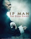 Ip Man 4 Son Dövüş