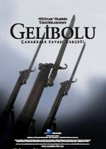Gelibolu