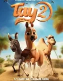 Tay 2 Ebabil Takımı