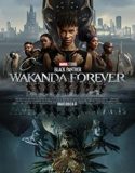 Black Panther 2