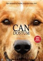 Can Dostum (2017)