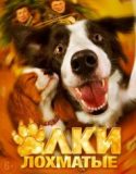 Evde Köpek Başına