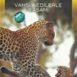 Vahşi Kedilerle Yaşam